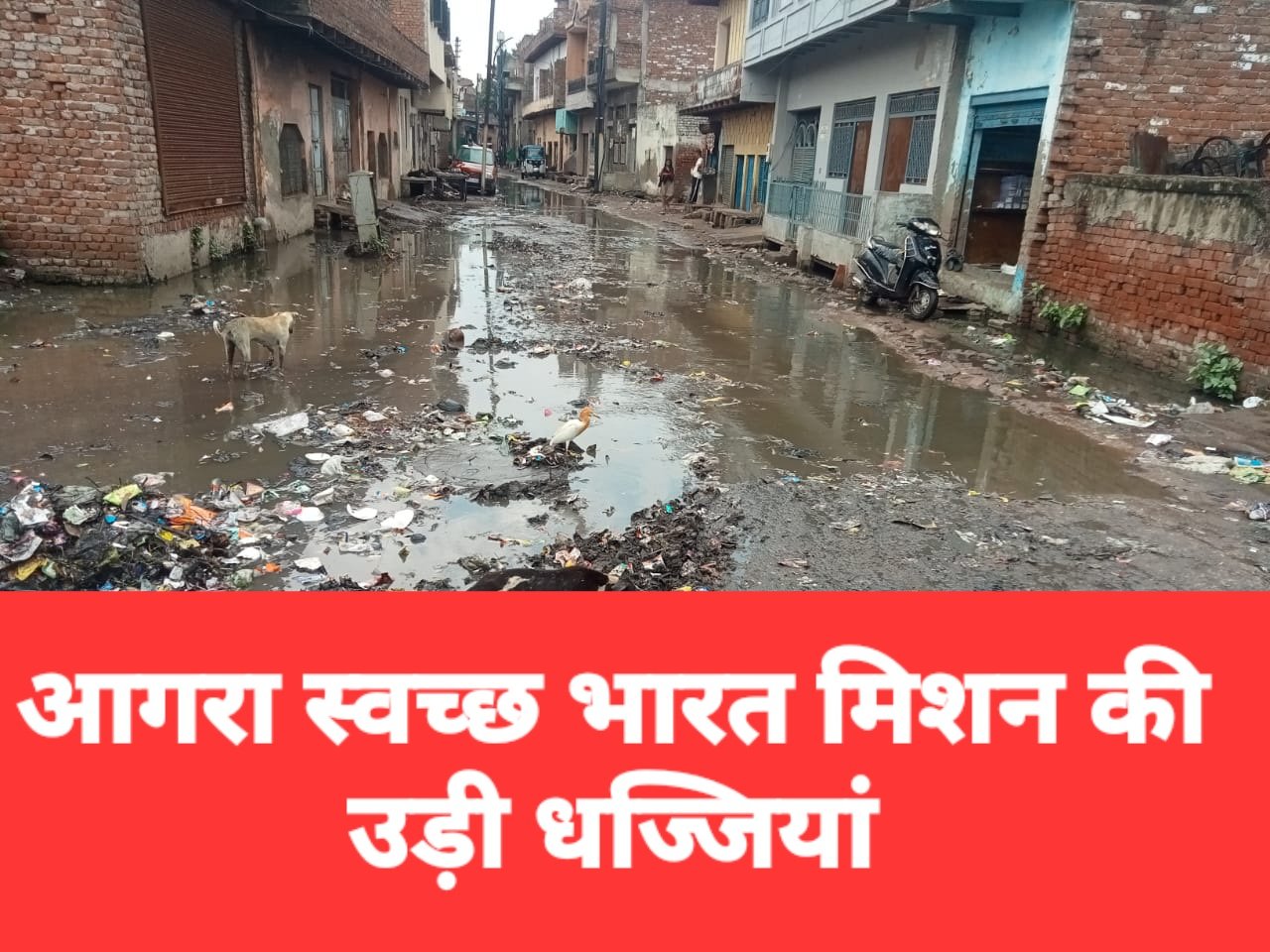 आगरा