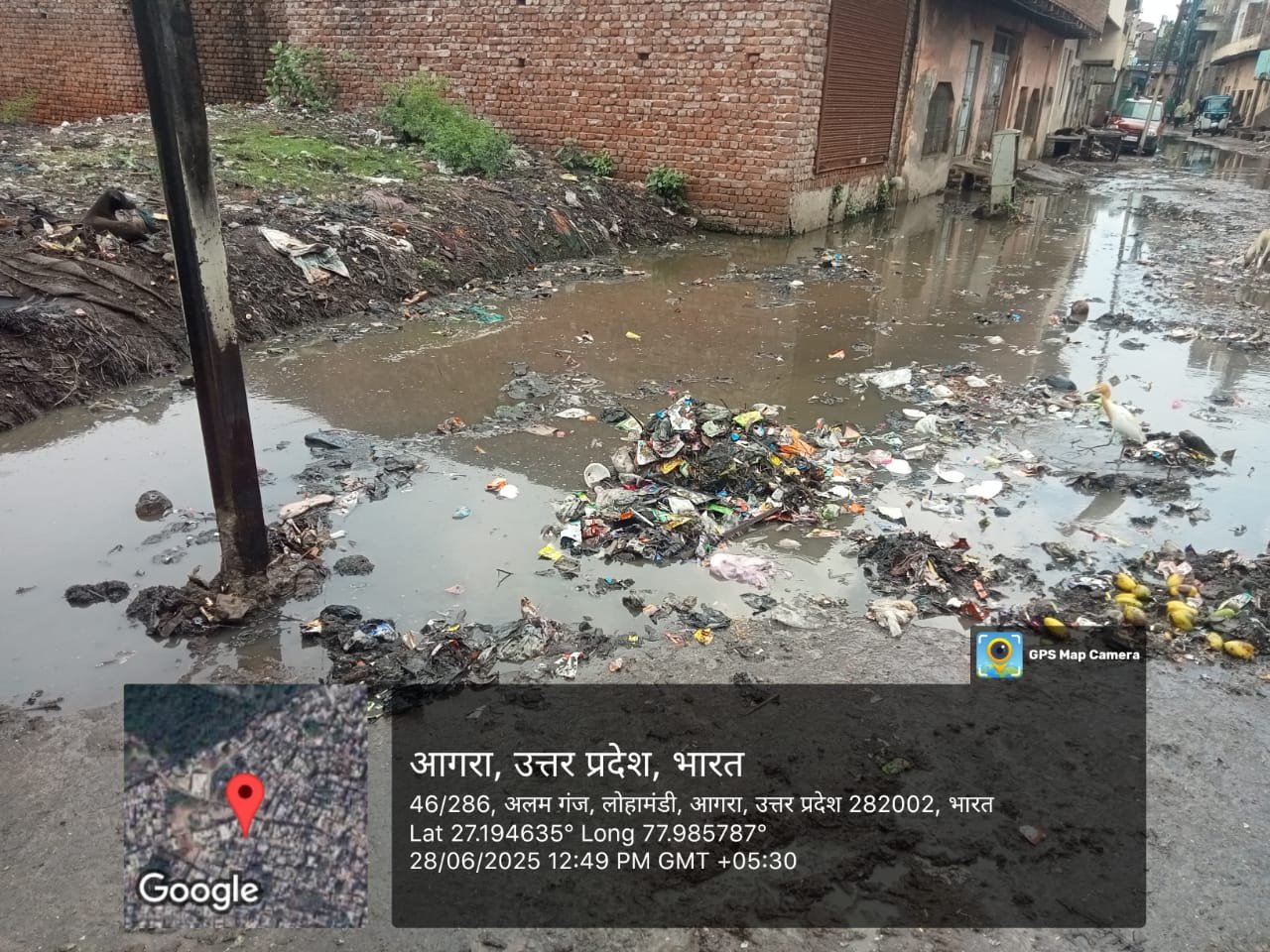 आगरा 