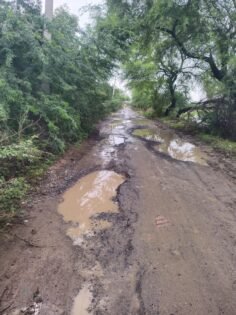 जालौन